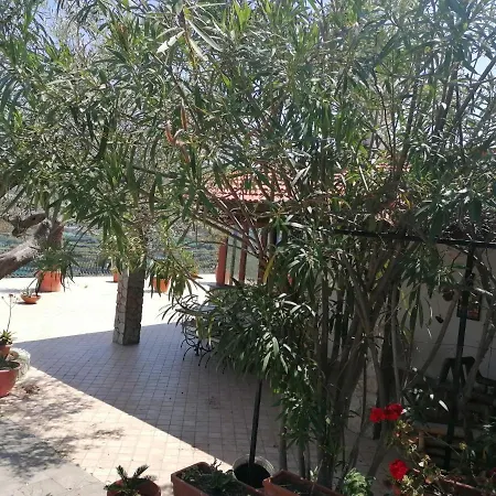 Eleonora