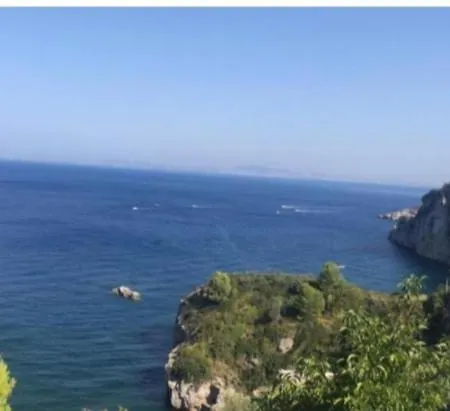 Eleonora *