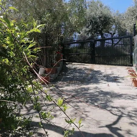 Eleonora Villa